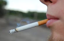 Nowa Zelandia calkowicie zakazuje sprzedazy tytoniu [ENG]