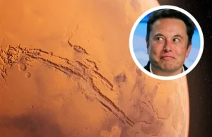 Elon Musk sprzedał ostatni dom. "Wyprowadzam się na Marsa"