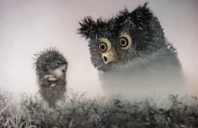 Jeżyk we mgle - mistrzostwo rosyjskiej animacji z 1975