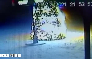 Podpalono miejską choinkę wartości 65 tys. złotych [VIDEO]