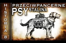 Przeciwpancerne psy Stalina