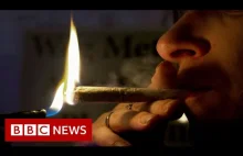 Malta becomes first EU nation to legalise cannabis - BBC News