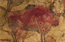 Opór przed nowym, czyli historia malowideł w jaskini Altamira