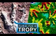 Unikatowe odkrycie w Polsce - setki tropów dinozaurów