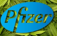 Pfizer kupuje firmę farmaceutyczną badającą skuteczność leków na bazie marihuany