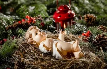 Pan Jezus nie urodził się 25 grudnia!