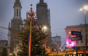 Tęczowa choinka na Placu Zbawiciela