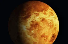 Obce formy życia w obłokach Wenus? "Niepodobne do niczego, co widzieliśmy"