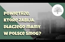 Zanieczyszczenie powietrza - skąd się zimą bierze smog w Polsce?