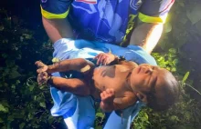 Znaleźli niemowlę w lesie! Cudem przeżyło