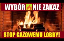 TAK dla palenia drewnem - stop gazowemu lobby.