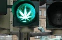 Legalizacja marihuany nie zwiększyła liczby wypadków w Kanadzie