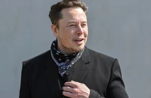 Elon Musk wyśmiewa ideę metaverse oraz Web 3.0.