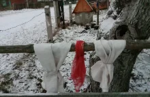 Białoruska emerytka trafiła do aresztu za ręczniki na płocie