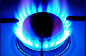 Ekspert: Tracimy pozycję na rynku gazu, będziemy musieli kupować go od Niemców
