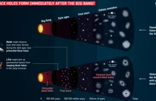 Ciemna mat. pochodząca z pierwotnych czarnych dziur pogodzi obserwacje z teorią