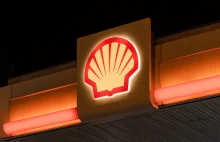 Shell musi wstrzymać poszukiwania ropy u wybrzeży Afryki Południwej