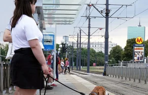 "Złapać świnię". Hogging (pigging) to kolejny przykład przemocy na tle...