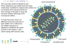 Fascynująca i skomplikowana historia szczepionek mRNA.