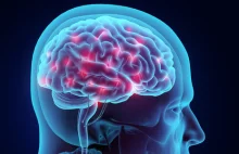 Naukowcy nauczyli zbitkę komórek ludzkiego mózgu grać w Ponga