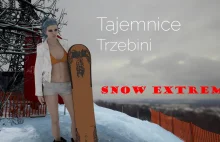 Snow Extreme - jazda na desce - autorska gra