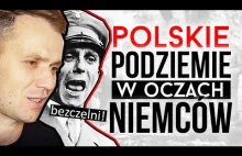 Jak Niemcy oceniali polski ruch oporu
