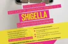 gov.uk: plakaty ostrzegawcze o pladze zakażeń u gejów/ bi bakteriami kałowymi!
