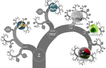 Drzewo życia - interaktywne drzewo ewolucji gatunków