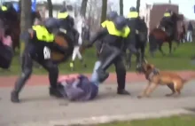 Amsterdam kolejny demonstrant brutalnie zaatakowany przez bandytów w mundurach