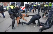 Policja pałuje Holendrów podczas strajku przeciwko COVID-19 (WIDEO)