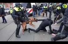 Holandia: Policja pałuje obywateli podczas protestu przeciwko COVID-19 (WIDEO)