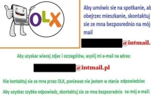 Trwa polowanie na najemców. Tak wyglądają fałszywe oferty wynajmu na OLX