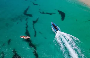 Nurkowanie na Cabo Verde - co warto wiedzieć i z kim nurkować?