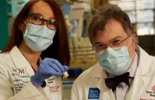 "Szczepionka dla świata": Naukowcy z USA opracowują tanią szczepionkę na...