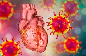 Wzrost ryzyka ostrego zapalenia mięśnia sercowego u nastolatków po szczepieniu