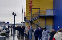 Start segregacji sanitarnej - Kolejki w Ikea Gdańsk