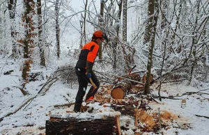 Porozumienie w sprawie pracy dla więźniów. Pójdą w las