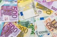 Płaca minimalna w Niderlandach 1725 euro brutto w 2022 roku.