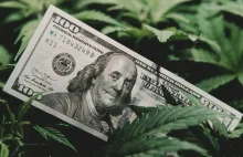 Ile podatków zebrały Stany Zjednoczone z legalizacji marihuany?
