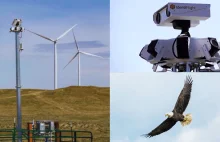 AI śledzi lot ptaka, zatrzymuje turbinę i zapobiega wypadkom
