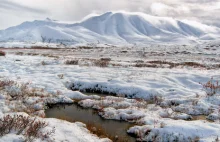 Arktyka ociepla się do 4 razy szybciej niż reszta świata. Mieszkańcy zagrożeni