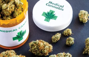 Połowa Konfederacji przeciwko liberalizacji przepisów dot. medycznej marihuany