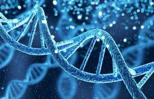 Wbrew teorii ewolucji mutacje DNA nie są całkowicie przypadkowe