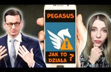 Jak działa i czym jest PEGASUS? Co o aferze mówią Morawiecki, Kaczyński i PiS?