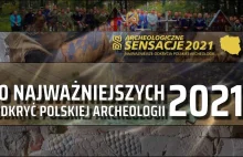 Wyniki z wyborów 10 najważniejszych odkryć i wydarzeń polskiej archeologii 2021!