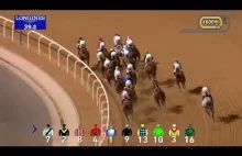 Wyścigi konne w Dubaju