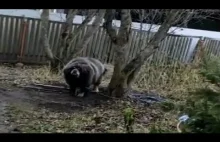 Pozostawiony na pastwę losu a los się uśmiechnął i wyciągnął pomocną łapę