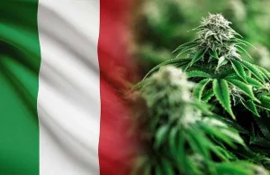 Włochy: Na wiosnę referendum nad legalizacją marihuany i grzybów psylocybinowych