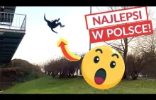 TOP 10 Polskiego PARKOUR i FREERUNNINGU