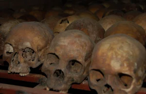 Trauma zachowana w DNA. Niezwykłe odkrycie dotyczące ludobójstwa w Rwandzie